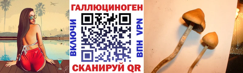 Псилоцибиновые грибы прущие грибы  цена   сайты даркнета клад  Анапа 